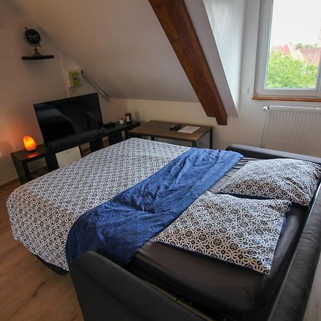 Ferienwohnung Au toit de l’Alsace - Loft au pied des Vosges Wattwiller Exterior foto