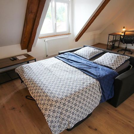 Ferienwohnung Au toit de l’Alsace - Loft au pied des Vosges Wattwiller Exterior foto